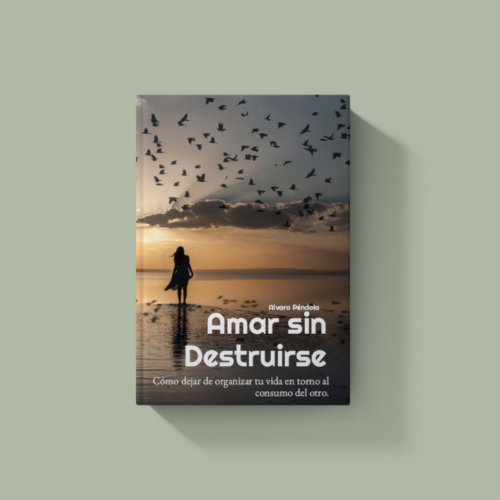 Amar sin Destruirse
