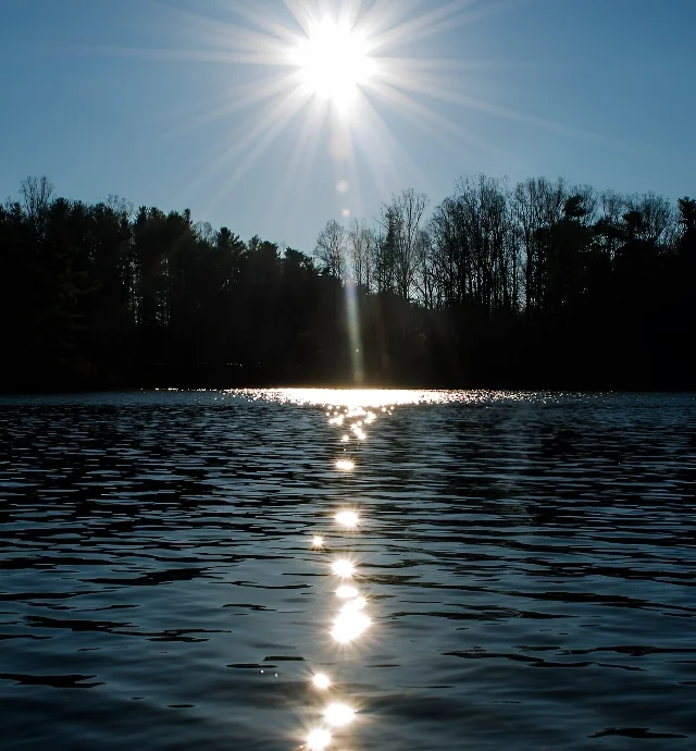 7ae84615-2c80-436a-9db3-22d59593db77